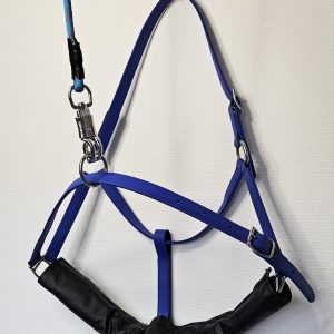 Paarden Dental halster