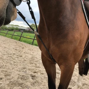 Elasti-Fit