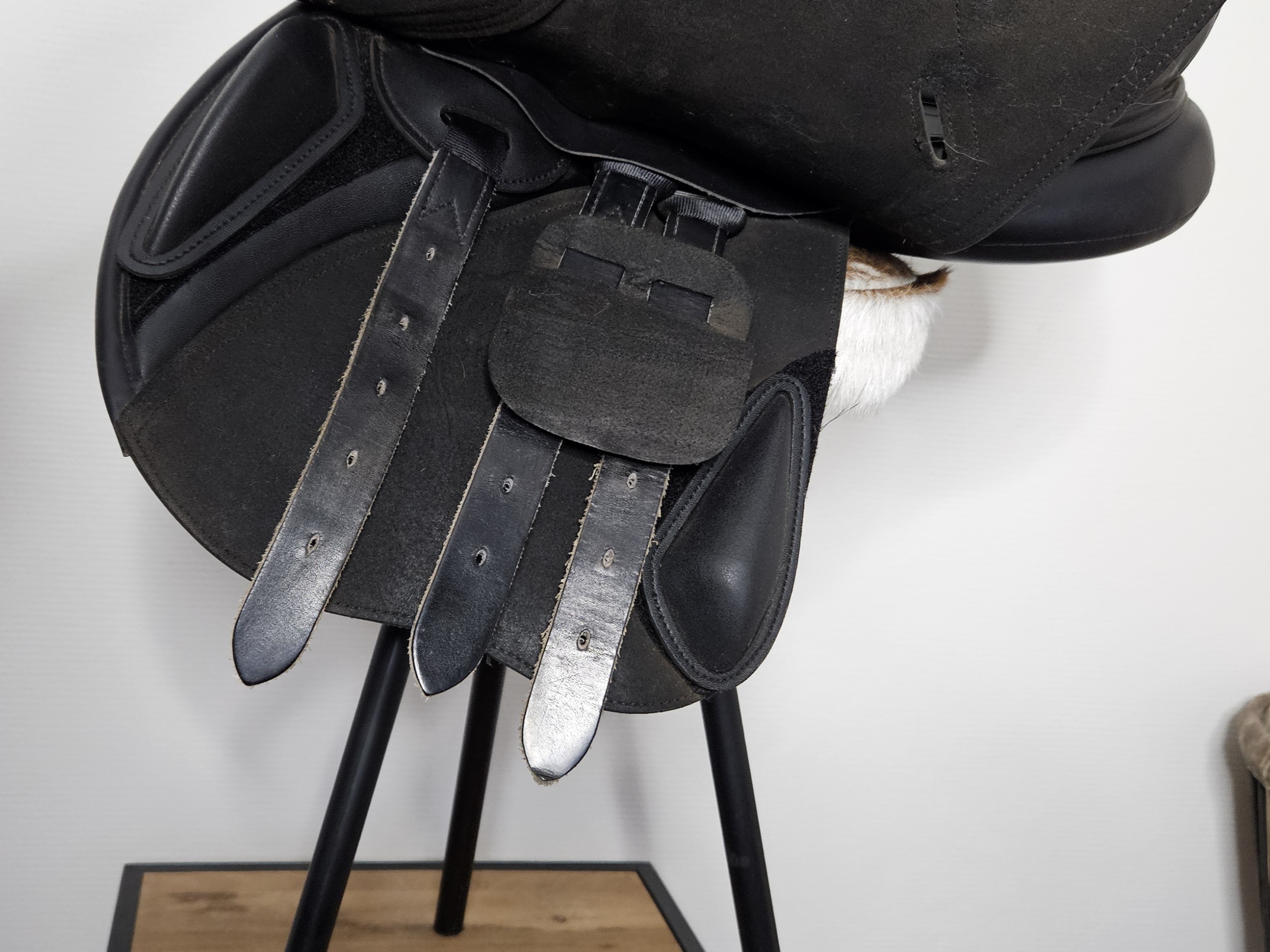 Tekna Club Pony "15,5 inch. - Afbeelding 2